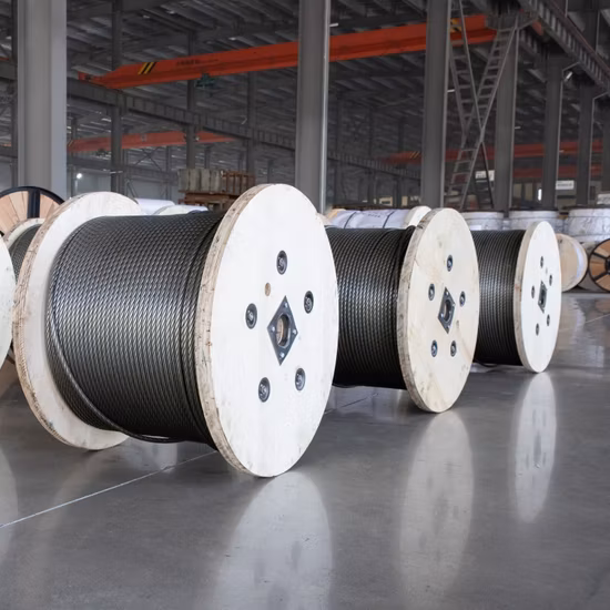 1X7/1X19/7X7/7X19/6X7+FC/6X19+FC SUS304/SUS316 Industriel/Automobile/Construction/Communication ou dispositif médical Utiliser un câble métallique en acier